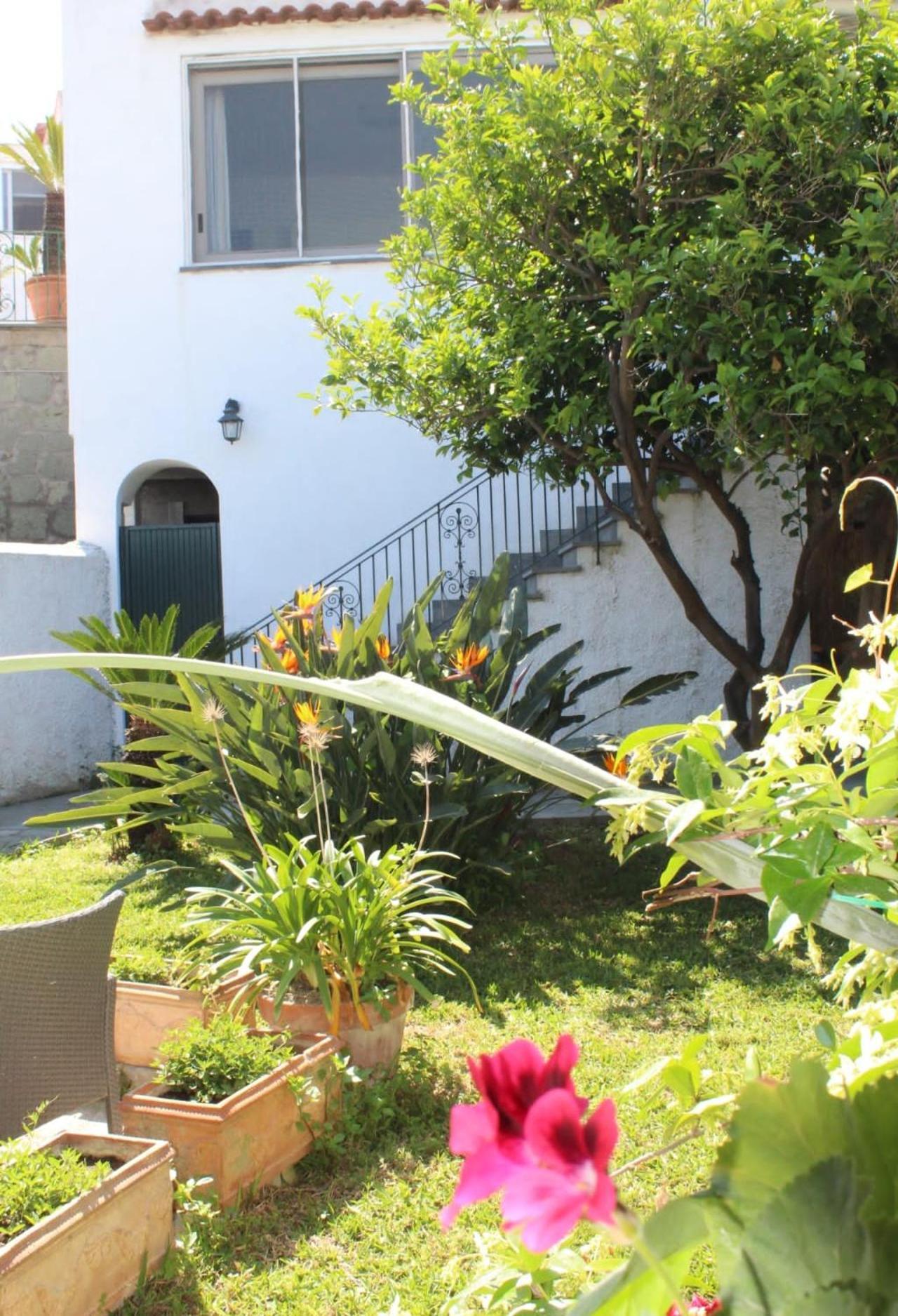 Chez Marie Ischia Villa Exterior photo